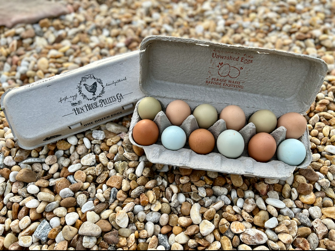 Amanda Ingram - Eggs Fresh farm eggs in a dozen carton labeled "Hen House Pullets GA," featuring a variety of colors including brown, blue, and cream, placed on a bed of pebbles. The carton is marked "Unwashed Eggs" with a note to wash before use.