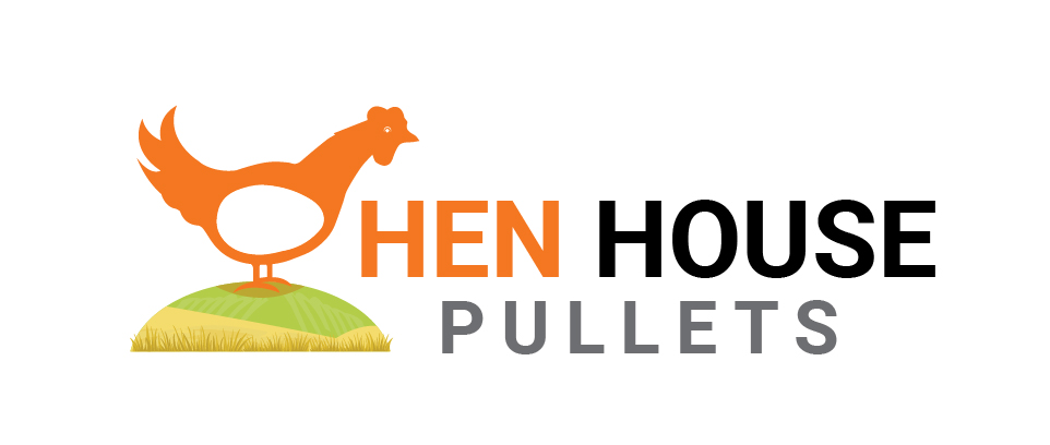 Amanda Ingram - final-logo-02 Logo of Hen House Pullets featuring an orange chicken standing on a green mound, representing a poultry business focused on high-quality pullets and sustainable farming practices.